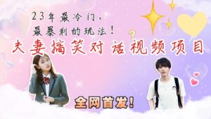 最冷门，最暴利的全新玩法，夫妻搞笑视频项目，虚拟资源一月变现10w+-创客云联盟