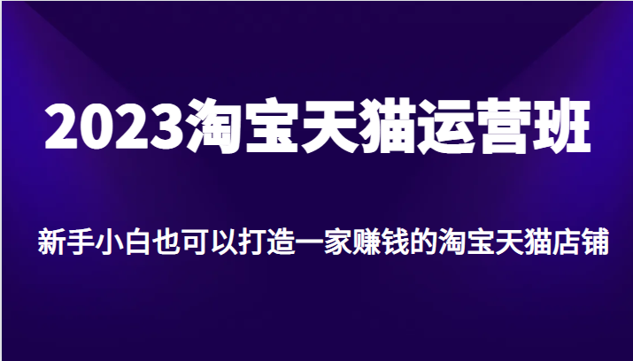 2023淘宝天猫运营班，新手小白也可以打造一家赚钱的淘宝天猫店铺-创客云联盟