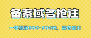(7277期)【全网首发】备案域名抢注,一单利润300-500元,需求量大-创客云联盟