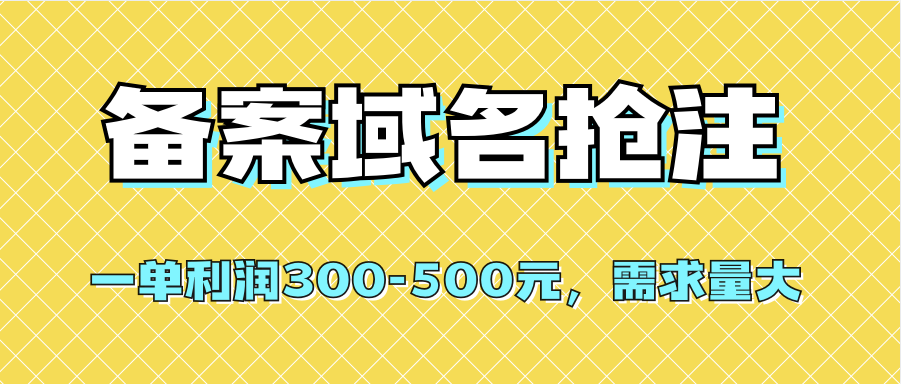 （7277期）【全网首发】备案域名抢注，一单利润300-500元，需求量大-创客云联盟