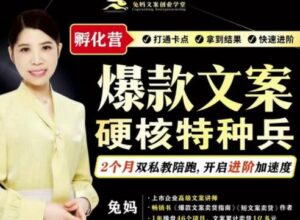 兔妈·爆款文案硬核特种兵孵化营,实现了每个月2000-30000+的副业增收-创客云联盟