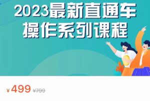 2023最新引力魔方系列课程，如何利用直通车去冲销量-创客云联盟