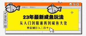 2023最新闲鱼实战课,从入门到精通再到闲鱼大佬,单号日入300+(更新)-创客云联盟