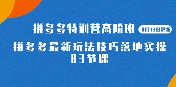 （7295期）2023拼多多·特训营高阶班【9月13日更新】拼多多最新玩法技巧落地实操-83节-创客云联盟