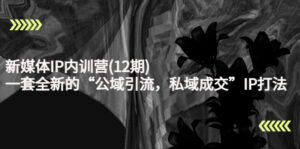 新媒体IP内训营(12期)，一套全新的“公域引流，私域成交”IP打法，直接带走-创客云联盟