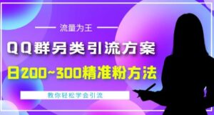 价值888的QQ群另类引流方案，半自动操作日200~300精准粉方法【视频教程】-创客云联盟