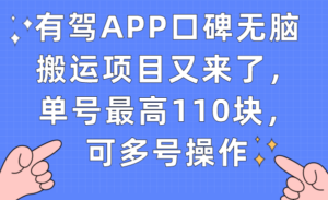 （7314期）有驾APP口碑无脑搬运项目又来了，单号最高110块，可多号操作-创客云联盟