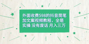 （7327期）外面收费598抖音简笔加文案教程，全是实操 没有废话 月入三万（教程+资料）-创客云联盟