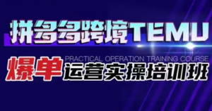 拼多多跨境TEMU爆单运营实操培训班 海外拼多多的选品、运营、爆单-创客云联盟