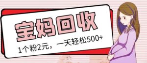 最新小红书母婴号宝妈粉回收项目,1个粉2元,一天轻松500+案例分享【粉丝包回收】-创客云联盟