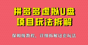 拼多多虚拟U盘项目，保姆级拆解，可多店操作，一天1000左右！-创客云联盟
