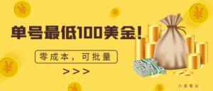单号最低100美金,零成本,小白无脑操作。可复制,可扩大。-创客云联盟