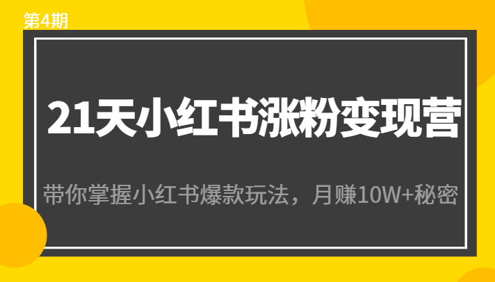 21天小红书涨粉变现营（第4期）：带你掌握小红书爆款玩法，月赚10W+秘密-创客云联盟