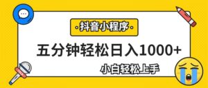 轻松日入1000+，抖音小程序最新思路，每天五分钟，适合0基础小白-创客云联盟