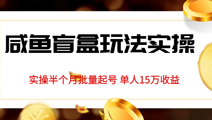 独家首发咸鱼盲盒玩法实操，半个月批量起号单人15万收益揭秘-创客云联盟