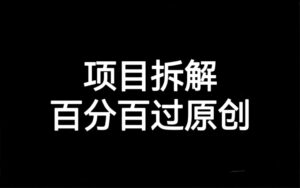 项目拆解百分百过原创,解决项目拆解赛道难过原创的问题-创客云联盟