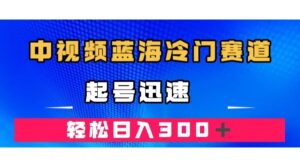 （7449期）中视频蓝海冷门赛道，韩国视频奇闻解说，起号迅速，日入300＋-创客云联盟