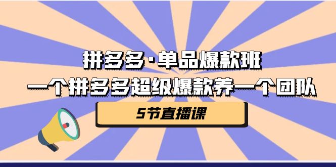 拼多多·单品爆款班，一个拼多多超级爆款养一个团队（5节直播课）-创客云联盟