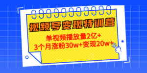 21天视频号变现特训营:单视频播放量2亿+3个月涨粉30w+变现20w+(第14期)-创客云联盟