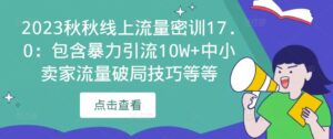 2023秋秋线上流量密训17.0:包含暴力引流10W+中小卖家流量破局技巧等等-创客云联盟