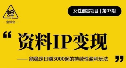 资料IP变现，能稳定日赚3000起的持续性盈利玩法-创客云联盟
