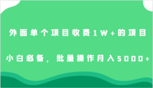 外面单个项目收费1W+的项目,小白必备,批量操作月入5000+-创客云联盟
