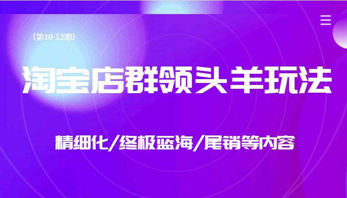 淘宝店群领头羊玩法，精细化/终极蓝海/尾销等内容（第10-12期）-创客云联盟
