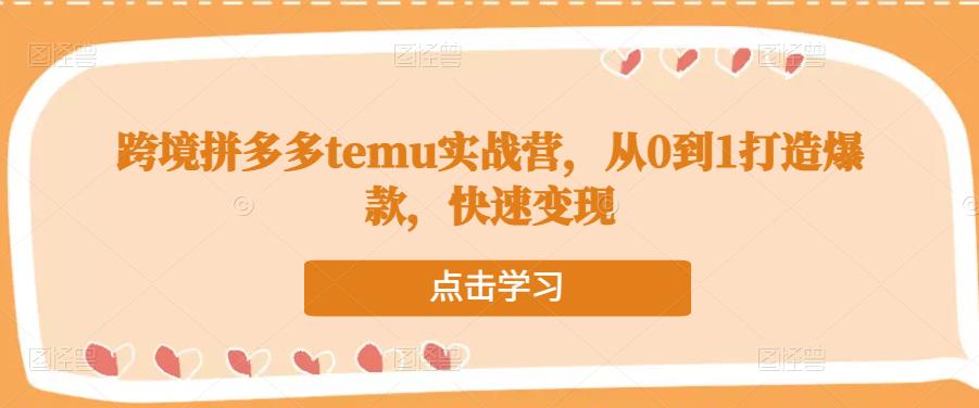 跨境拼多多temu实战营，从0到1打造爆款，快速变现-创客云联盟