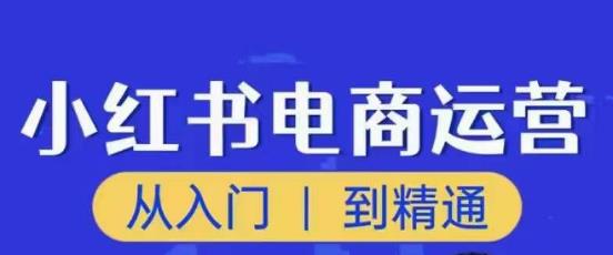 顽石小红书电商高阶运营课程，从入门到精通，玩法流程持续更新-创客云联盟