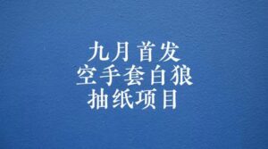 0成本，日入100-500空手套白狼抽纸项目，保姆级教学-创客云联盟