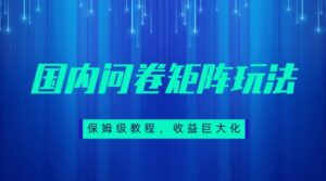 保姆级教程，国内问卷矩阵玩法，轻松赚收益-创客云联盟