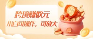 跨境赚欧元，一个窗口一天5-10+，小白可操作，可无脑放大-创客云联盟