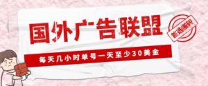 外面收费1980的最新国外LEAD广告联盟搬砖项目，单号一天至少30美金【详细玩法教程】-创客云联盟
