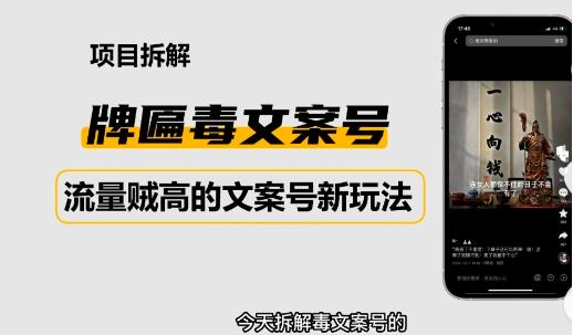 2023抖音快手毒文案新玩法，牌匾文案号，起号快易变现-创客云联盟