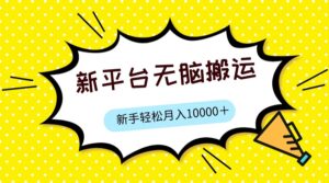 新平台用软件无脑搬运，月赚10000+，小白也能轻松上手-创客云联盟