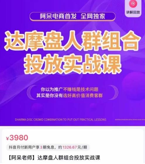 阿呆电商·达摩盘人群组合投放实战课，你以为推广不赚钱是技术问题，其实是你没有选好高价值消费客群-创客云联盟