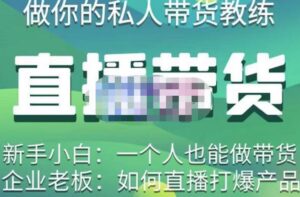 硬核传媒·直播带货（私人教练），实操实战教学，通俗易懂，学完后新手小白一个人也能做带货-创客云联盟