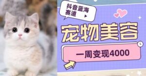 抖音蓝海赛道，宠物美容，一周变现4000-创客云联盟