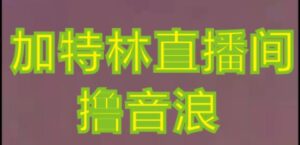 抖音加特林直播间搭建技术,抖音0粉开播,暴力撸音浪,2023新口子,每天800+【素材+详细教程】-创客云联盟