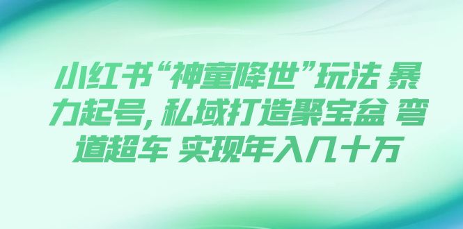 （7673期）小红书“神童降世”玩法 暴力起号,私域打造聚宝盆 弯道超车 实现年入几十万-创客云联盟