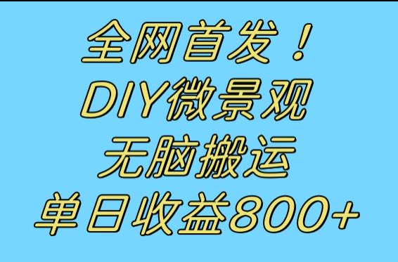 全网首发冷门赛道！DIY微景观，无脑搬运视频，日收益800+-创客云联盟