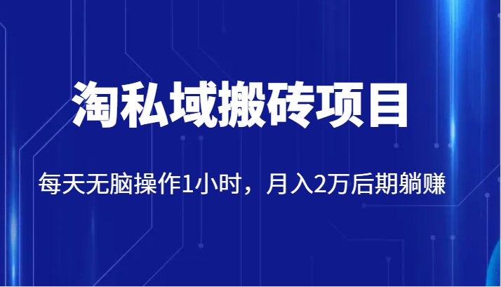 价值2980的淘私域搬砖项目，每天无脑操作1小时，月入2万后期躺赚-创客云联盟