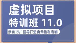 陆明明·虚拟项目特训班（10.0+11.0），0成本获取虚拟素材，0基础打造自动盈利店铺-创客云联盟