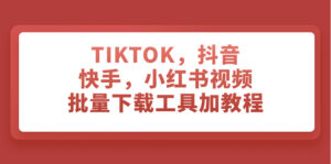 （7714期）TIKTOK，抖音，快手，小红书视频批量下载工具加教程-创客云联盟
