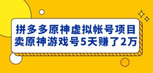 外面卖2980的拼多多原神虚拟帐号项目:卖原神游戏号5天赚了2万-创客云联盟