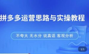 拼多多店铺运营思路与实操教程,快速学会拼多多开店和运营,少踩坑,多盈利-创客云联盟