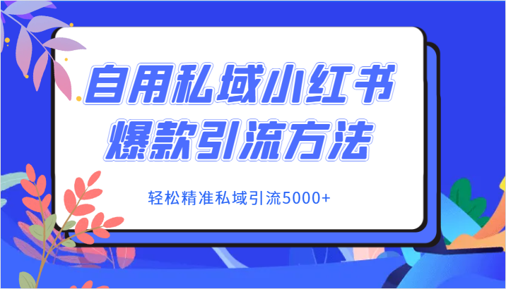 自用私域小红书爆款引流方法，轻松精准私域引流5000+-创客云联盟