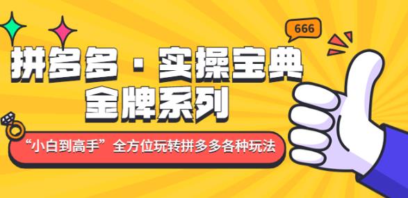 拼多多·实操宝典：金牌系列“小白到高手”带你全方位玩转拼多多各种玩法-创客云联盟