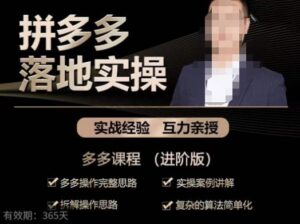 拼多多实战篇·落地实操:多多操作完整思路+实操案例讲解+拆解操作思路+复杂的算法简单化-创客云联盟