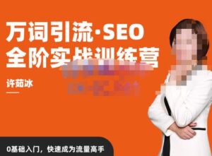 许茹冰·万词引流-SEO全阶实战训练营,0基础入门,快速成为流量高手-创客云联盟